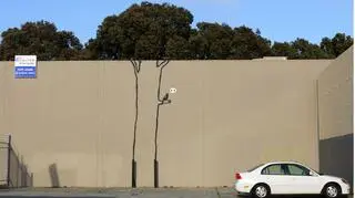 Mural "Bird Singing in Tree", San Francisco, 2010