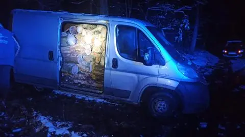 Wywieźli drewno z lasu, zostali zatrzymani