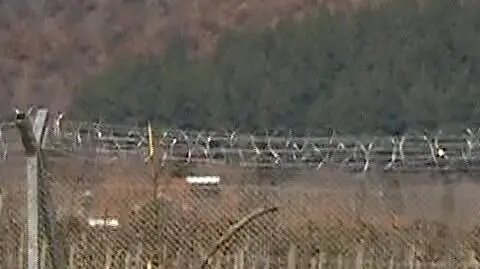 Pseudokibice przemycali imigrantów