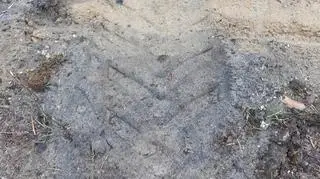 Do kradzieży kamieni prawdopodobnie został użyty traktor z turem
