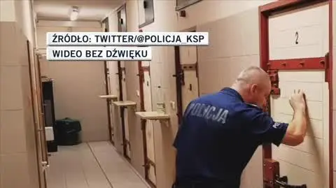 POLICJA 