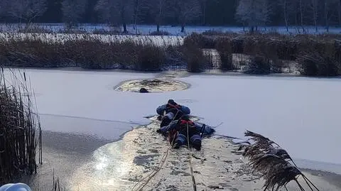 Hektor pobiegł za sarną, zarwał się pod nim lód. Na pomoc ruszyli strażacy