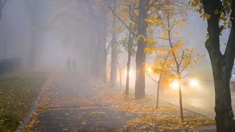 Gęsta mgła będzie sporym utrudnieniem