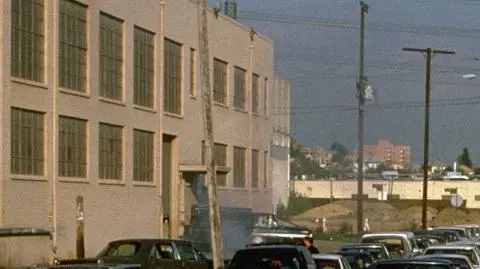 Dzikość serca Davida Lyncha