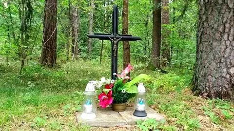 "Czułem, że to nie ja kierowałem". Sąd skazał nie tego mężczyznę?