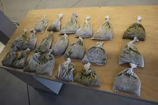 Żywe pijawki znajdowały się płóciennych workach 