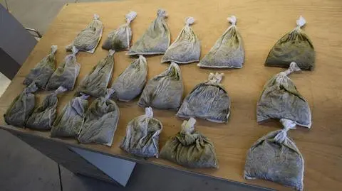 Żywe pijawki znajdowały się płóciennych workach 