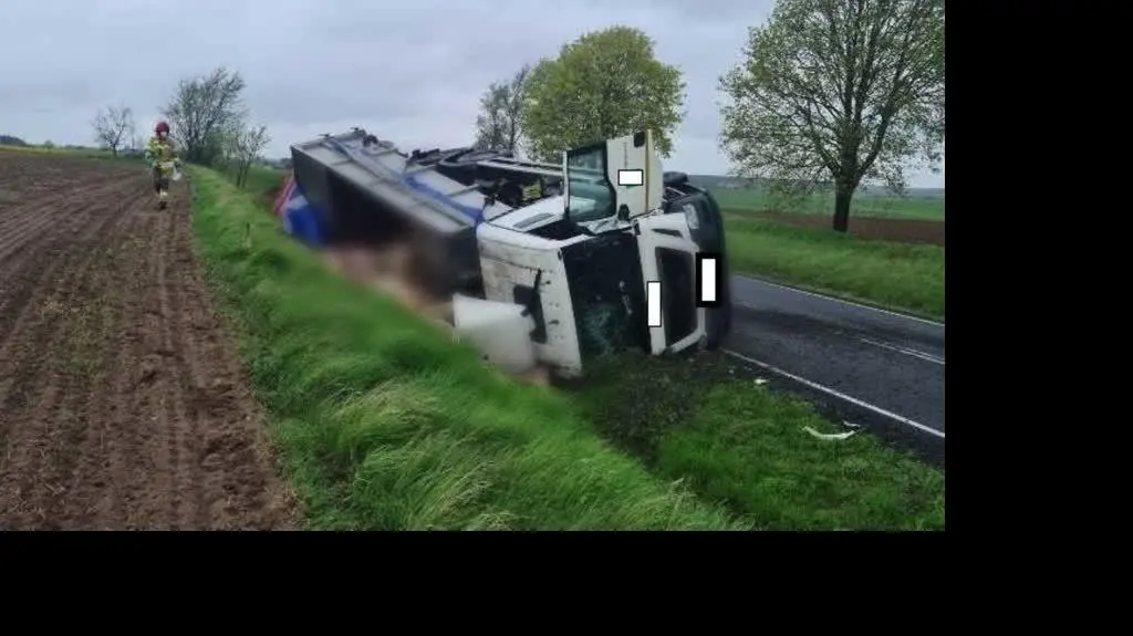 Samochód przewożący martwą trzodę chlewną wjechał do rowu