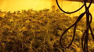 Grozi im do 10 lat więzienia