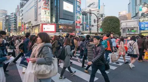 japonczycy shutterstock_1023700888