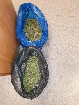 Zabezpieczono też 800 gram suszu konopi
