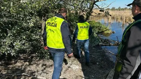 Zabili setki ptaków. "W afekcie, wyjadały karpie". Ruszył proces