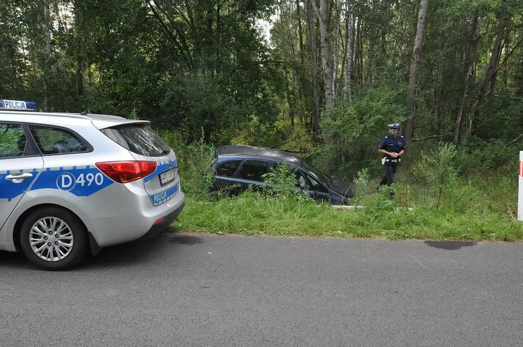 Auto wylądowało w rowie 