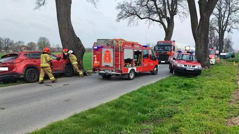 Wyprzedzał, otarł się o auto i uderzył w drzewo. Nie żyje