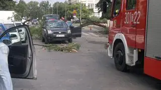 Konar spadł na samochód