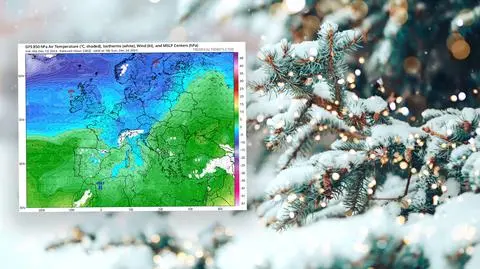 meteo sklej 16