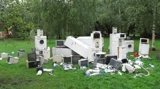 Elektrośmieci w Parku Staromiejskim