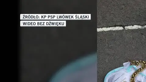 KP PSP Lwówek Śląski
