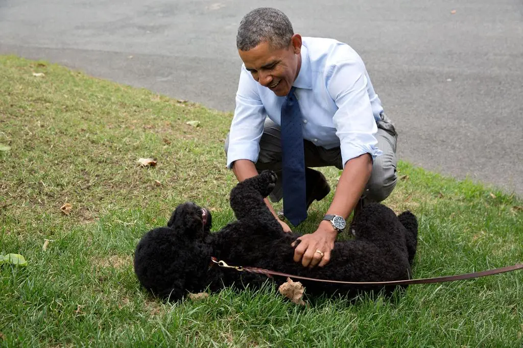 Barack Obama z Sunny