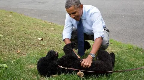 Barack Obama z Sunny