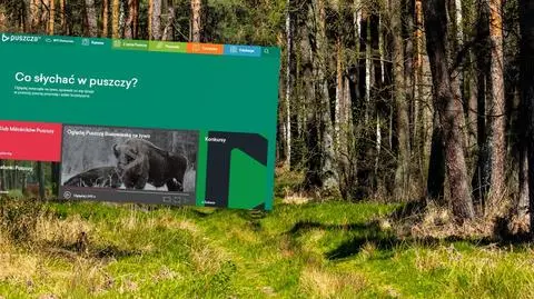 Projekt Puszcza.tv zakończony. Ujawniamy, na co poszły miliony publicznych pieniędzy