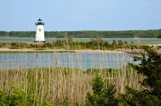 Do wypadku doszło w akwenie Edgartown Great Pond w pobliżu rezydencji Obamów na wyspie Martha's Vineyard.