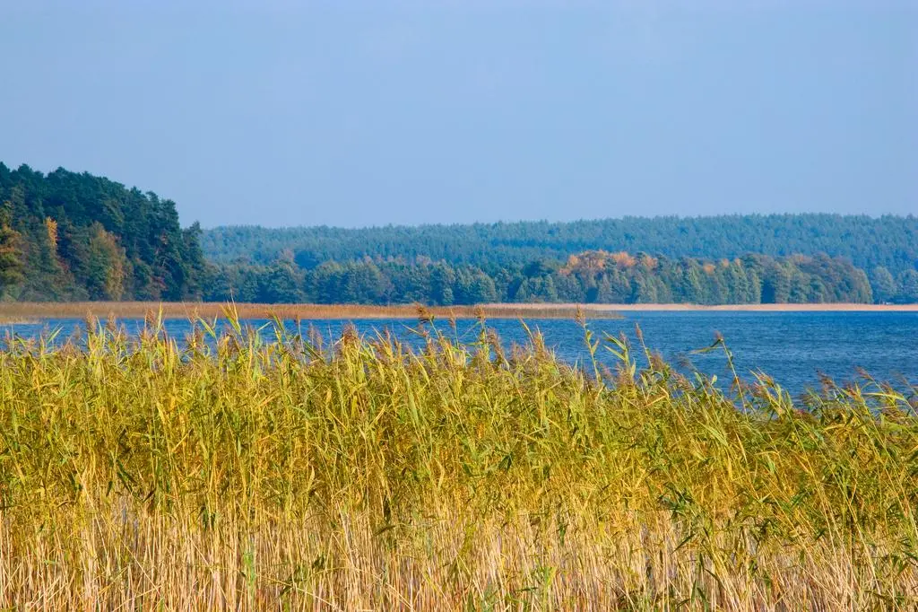 Jezioro Pluszne
