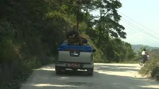 Specjalny wysłannik TVN24 w podróży z transportem pomocy humanitarnej