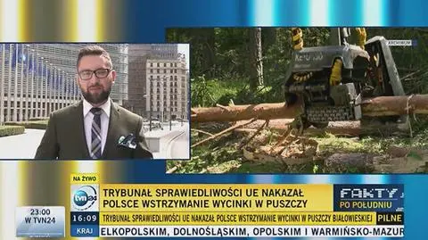 Trybunał Sprawiedliwości nakazał Polsce wstrzymanie wycinki w Puszczy Białowieskiej
