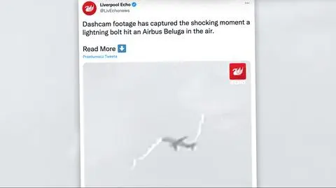 beluga 16