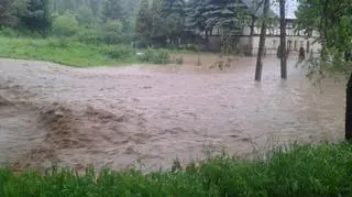 Woda płynąca przez Rybnicę