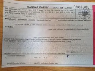 Mandat w wysokości 6 tysięcy złotych dla młodego kierowcy