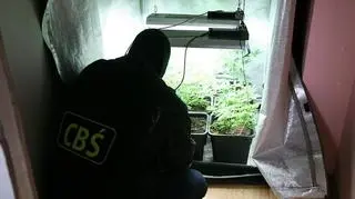 Sportowcowi z Kalisza grozi teraz kara do 8 lat więzienia