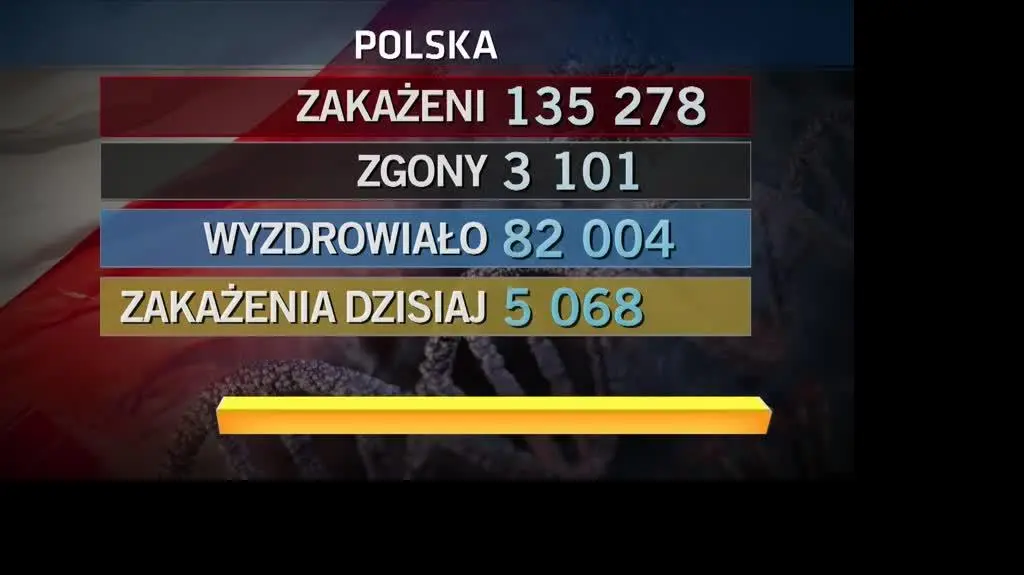 przypadki 