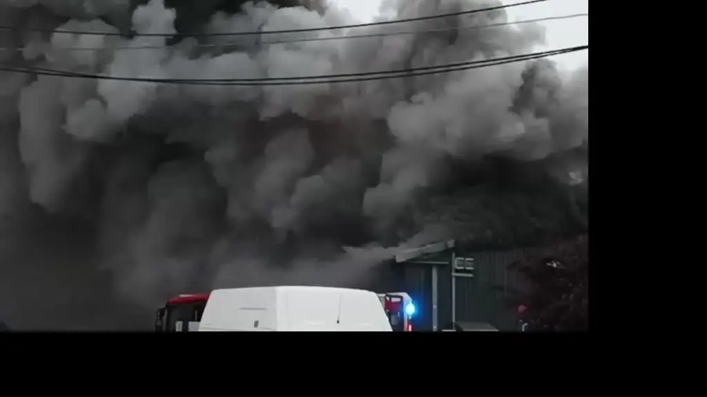 6f921a4a-5355-49e0-8d3c-34fbf0b5b26e-480p