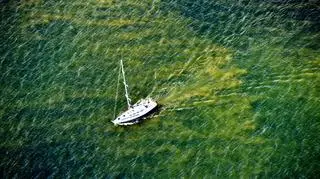 W tym celu powstała specjalna petycja