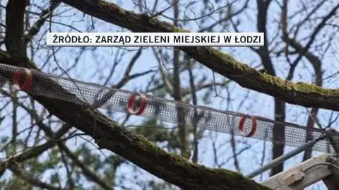 Most wisi nad ulicą Okólną w Łodzi