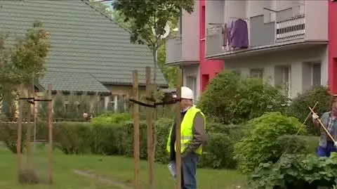 przybylski 2