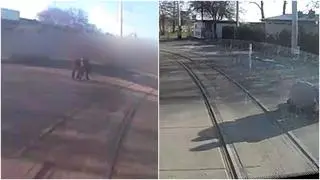 Kamery w autobusie zarejestrowały część zdarzenia