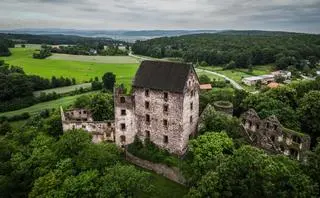Zamek Świny