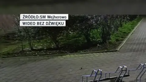 SM Wejherowo