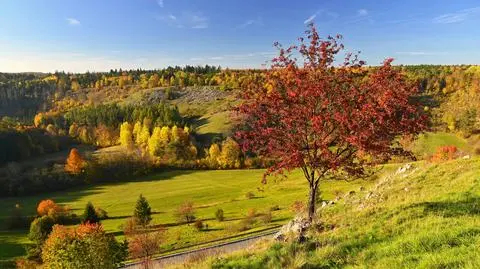 Jesień, słonecznie, pogodnie