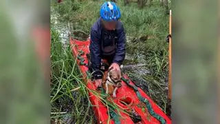 Policjanci i strażacy uratowali 63-latka i jego psa