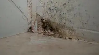 Wady w mieszkaniu oddanym w ramach programu Mieszkanie plus