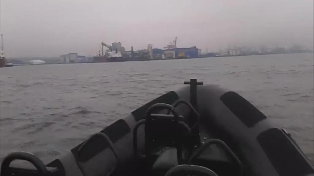 Marynarze wypatrzyli wieloryba 