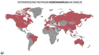 Potwierdzone przypadki koronawirusa na świecie