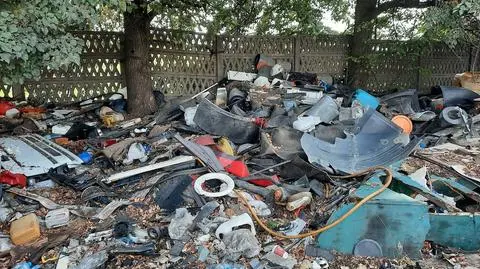 "Bajzel na kółkach - można powiedzieć po poznańsku". Wielkie śmietnisko na prywatnej działce