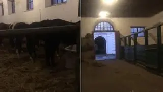 Do wypadku doszło w stajni 