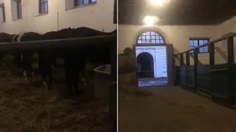 Do wypadku doszło w stajni 