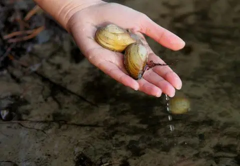 Najczulszy sprzęt pomiarowy. Jak przyroda mówi nam, co jest nie tak